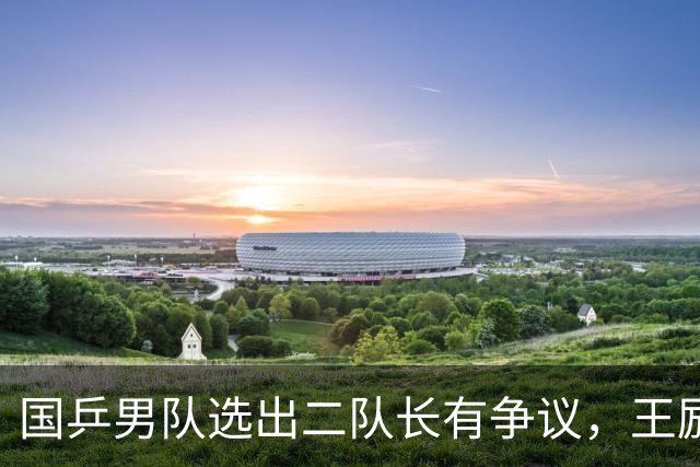 国乒男队选出二队长有争议，王励勤做出新调整，樊振东也笑了